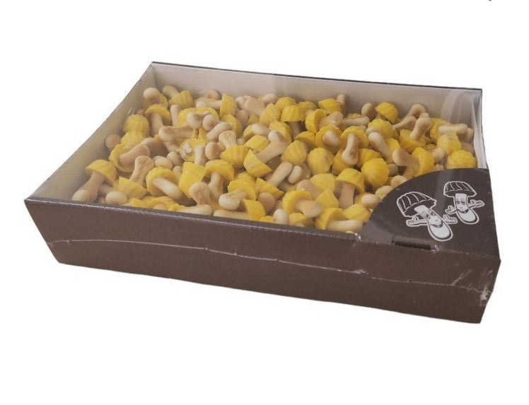 Mushroom Biscuit Various Flavors 100g