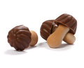 Mushroom Biscuit Various Flavors 100g