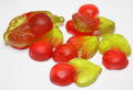 Kirsche Glatt 20er-Pack Halal