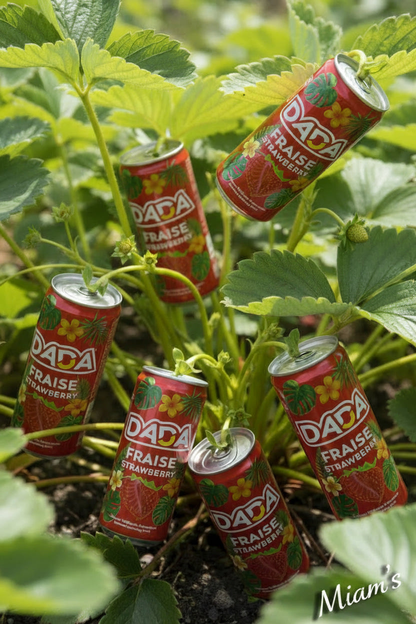 Dada Erdbeere 33 cl